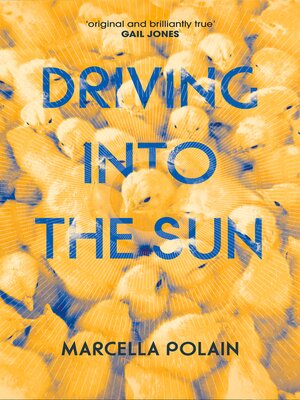 cover image of Driving into the Sun